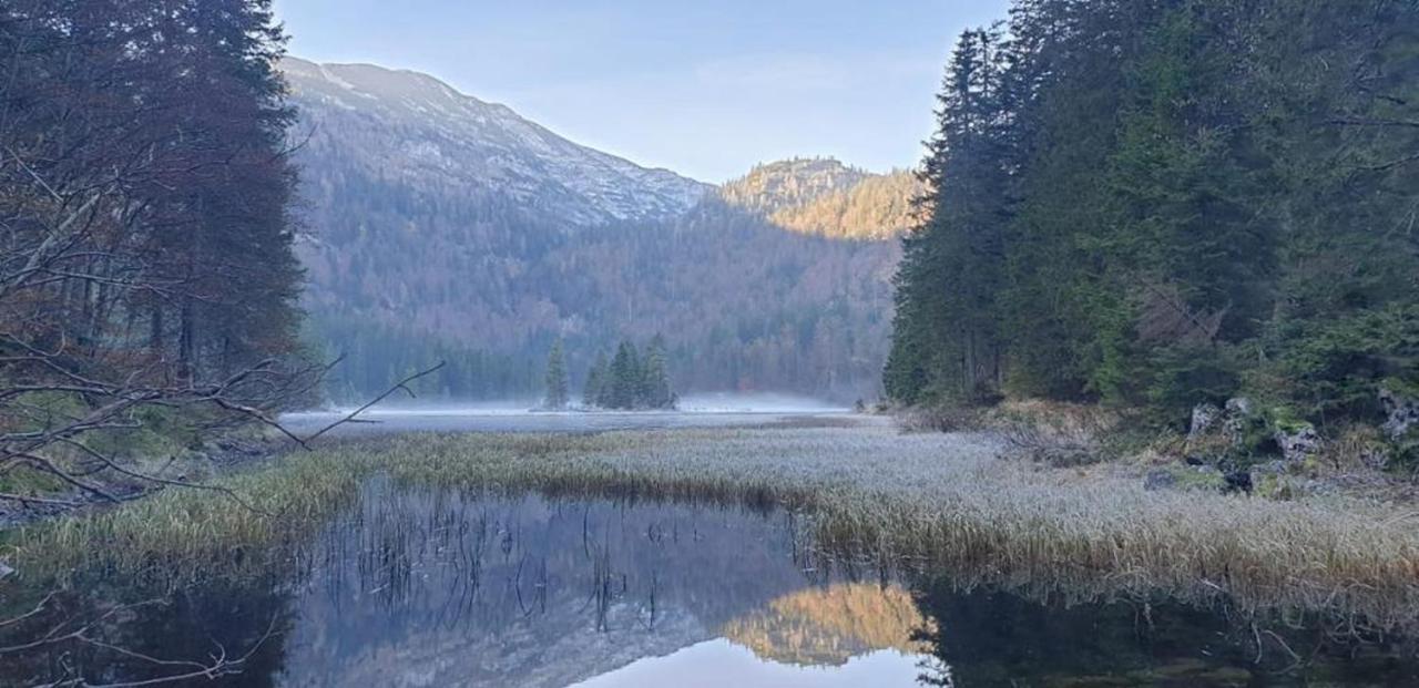 Ledererhof Lunz Am See Exterior photo