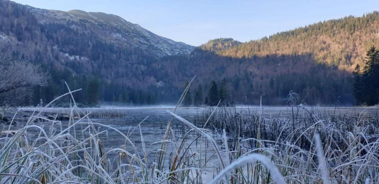 Ledererhof Lunz Am See Exterior photo